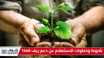 شروط وخطوات الاستعلام عن دعم ريف 1446 عبر “وزارة البيئة والمياه والزراعة” reef.gov.sa