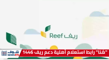 “هُنا” رابط استعلام أهلية دعم ريف 1446.. الخطوات والمشاريع التي يدعمها برنامج ريف