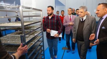 الفريق أسامة ربيع يشهد التشغيل التجريبي لمصنع تعبئة وتغليف الأسماك والجمبري ويفتتح مراحل جديدة بمشروع الاستزراع السمكي