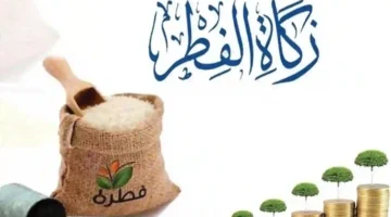 مقدار زكاة الفطر 2025 في الدول العربية.. هل تختلف بين مصر والسعودية وكيف تحسب وتُخرج شرعًا؟