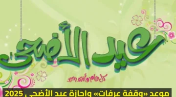 موعد «وقفة عرفات» وإجازة عيد الأضحى 2025 في مصر للقطاعين الحكومي والخاص