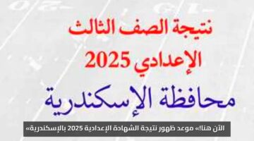 «الآن هنا!» موعد ظهور نتيجة الشهادة الإعدادية 2025 بالإسكندرية – خطواتك الاستعلام عبر البوابة الإلكترونية