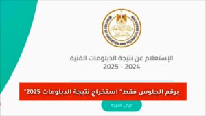 “برقم الجلوس فقط” استخراج نتيجة الدبلومات 2025 (صناعي – زراعي – تجاري) وتكريم الأوائل
