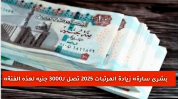 «بشرى سارة» زيادة المرتبات 2025 تصل لـ3000 جنيه لهذه الفئة.. تفاصيل جدول المرتبات الجديد بعد الزيادة 2025 وموعد الصرف