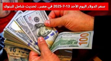 «رفع في البنك ولا لسة» سعر الدولار اليوم الأحد 13-7-2025 في مصر.. تحديث شامل للبنوك