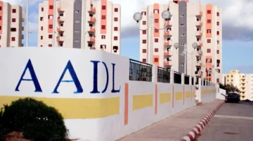 شروط التقديم في سكنات عدل 3 الجزائر سريعة وواضحة «فرصتك في السكن»