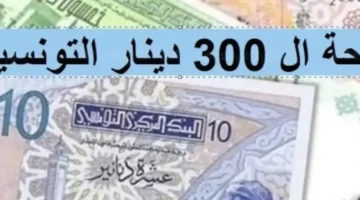 مساعدة دراسية .. طريقة الحصول على منحة تونس 2025 الخطوات كاملة «مصدرين فقط»