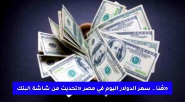 هُنا.. سعر الدولار اليوم في مصر «تحديث من شاشة البنك» استقرار نسبي للجنيه مقابل السوق الموازية