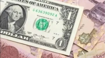 «سعر الدولار مقابل» الجنيه المصري بختام معاملات اليوم.. تغيرات جديدة في العملة الأمريكية
