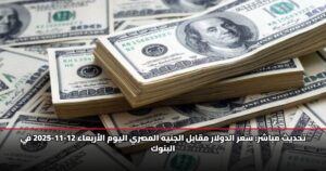 تحديث مباشر: سعر الدولار مقابل الجنيه المصري اليوم الأربعاء 12-11-2025 في البنوك