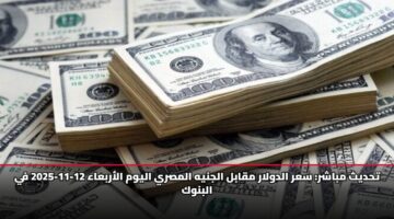 تحديث: سعر الدولار مقابل الجنيه المصري اليوم الأربعاء 12-11-2025 في البنوك