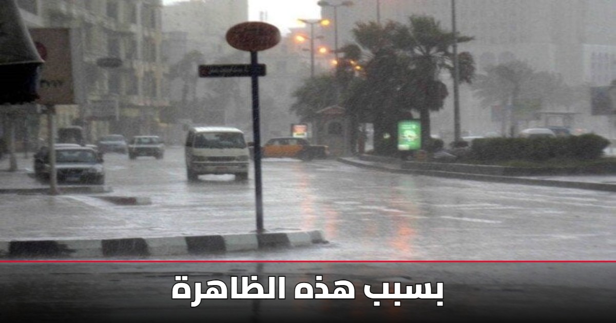 الأرصاد تكشف تفاصيل حالة الطقس السبت 15 نوفمبر 2025.. شبورة كثيفة وأمطار متوقعة 5 الأرصاد تكشف تفاصيل حالة الطقس السبت 15 نوفمبر 2025.. شبورة كثيفة وأمطار متوقعة
