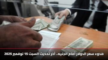 سعر صرف الدولار اليوم [تحديث السبت] 15 نوفمبر 2025 استقرار يسود تعاملات البنوك المصرية أمام الجنيه