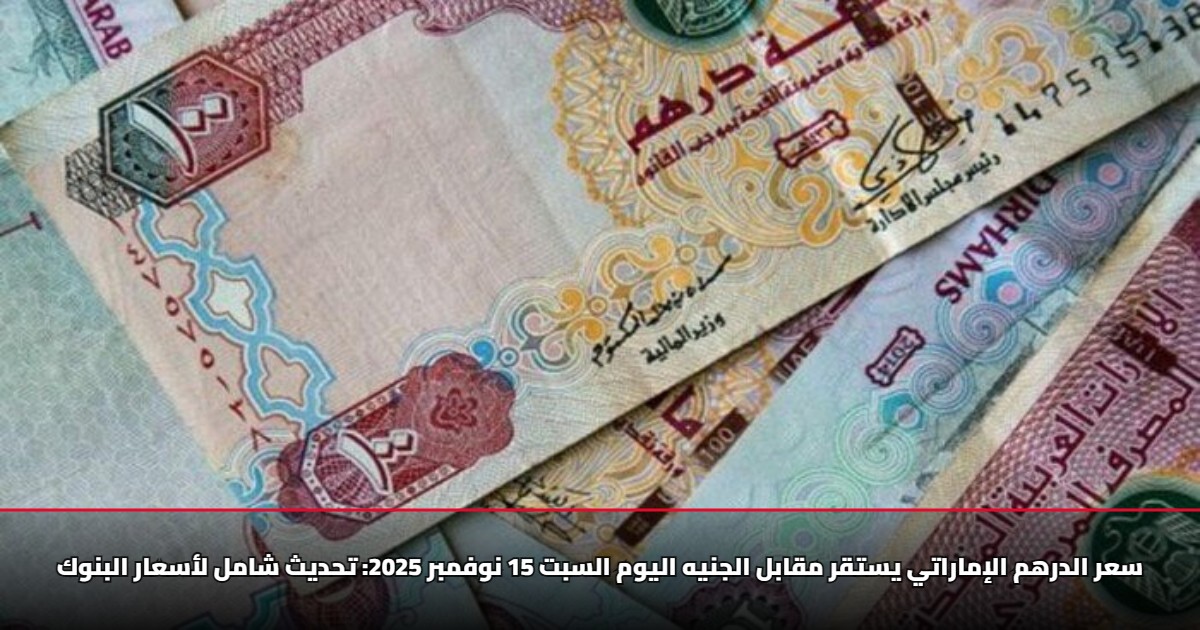 سعر الدرهم الإماراتي يستقر مقابل الجنيه اليوم السبت 15 نوفمبر 2025: تحديث شامل لأسعار البنوك 5 سعر الدرهم الإماراتي يستقر مقابل الجنيه اليوم السبت 15 نوفمبر 2025: تحديث شامل لأسعار البنوك