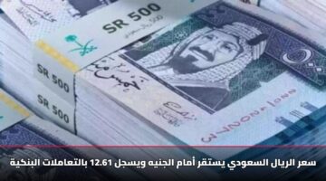 سعر الريال السعودي يستقر أمام الجنيه ويسجل 12.61 بالتعاملات البنكية