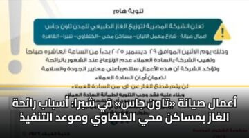 أعمال صيانة «تاون جاس» في شبرا: أسباب رائحة الغاز بمساكن محي الخلفاوي وموعد التنفيذ