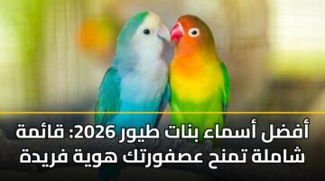 أفضل أسماء بنات طيور 2026: قائمة شاملة تمنح عصفورتك هوية فريدة