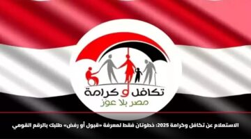 الاستعلام عن تكافل وكرامة 2025: خطوتان فقط لمعرفة «قبول أو رفض» طلبك بالرقم القومي