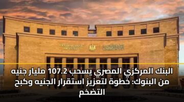 البنك المركزي المصري يسحب 107.2 مليار جنيه من البنوك: خطوة لتعزيز استقرار الجنيه وكبح التضخم