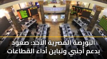 البورصة المصرية الأحد: صعود بدعم أجنبي وتباين أداء القطاعات