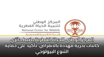 المركز الوطني للحياة الفطرية يضبط حائزي كائنات بحرية مهددة بالانقراض: تأكيد على حماية التنوع البيولوجي