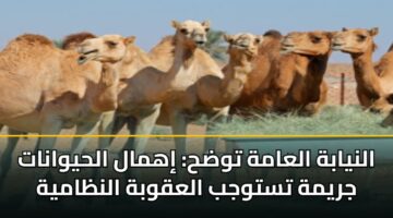 النيابة العامة توضح: إهمال الحيوانات جريمة تستوجب العقوبة النظامية