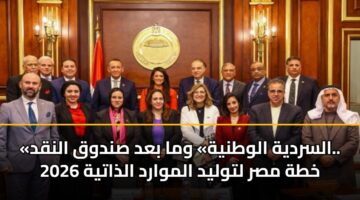 «السردية الوطنية» وما بعد صندوق النقد.. خطة مصر لتوليد الموارد الذاتية 2026