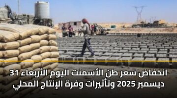 انخفاض سعر طن الأسمنت اليوم الأربعاء 31 ديسمبر 2025 وتأثيرات وفرة الإنتاج المحلي
