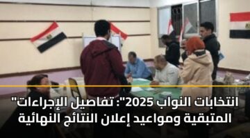 “انتخابات النواب 2025”: تفاصيل الإجراءات المتبقية ومواعيد إعلان النتائج النهائية