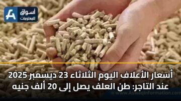 أسعار الأعلاف اليوم الثلاثاء 23 ديسمبر 2025 عند التاجر: طن العلف يصل إلى 20 ألف جنيه