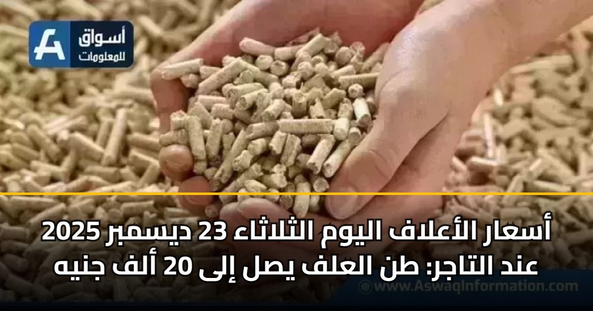 أسعار الأعلاف اليوم الثلاثاء 23 ديسمبر 2025 عند التاجر: طن العلف يصل إلى 20 ألف جنيه 5 أسعار الأعلاف اليوم الثلاثاء 23 ديسمبر 2025 عند التاجر: طن العلف يصل إلى 20 ألف جنيه