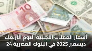 أسعار العملات الأجنبية اليوم الأربعاء 24 ديسمبر 2025 في البنوك المصرية