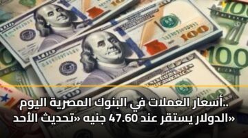 أسعار العملات في البنوك المصرية اليوم.. الدولار يستقر عند 47.60 جنيه «تحديث الأحد»