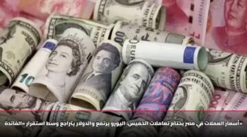 أسعار العملات في مصر بختام تعاملات الخميس: اليورو يرتفع والدولار يتراجع وسط استقرار «الفائدة»