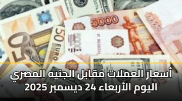 أسعار العملات مقابل الجنيه المصري اليوم الأربعاء 24 ديسمبر 2025