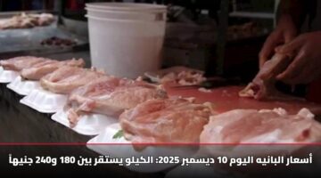 أسعار البانيه اليوم 10 ديسمبر 2025: الكيلو يستقر بين 180 و240 جنيهاً
