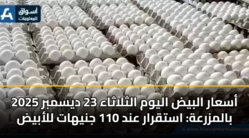 أسعار البيض اليوم الثلاثاء 23 ديسمبر 2025 بالمزرعة: استقرار عند 110 جنيهات للأبيض