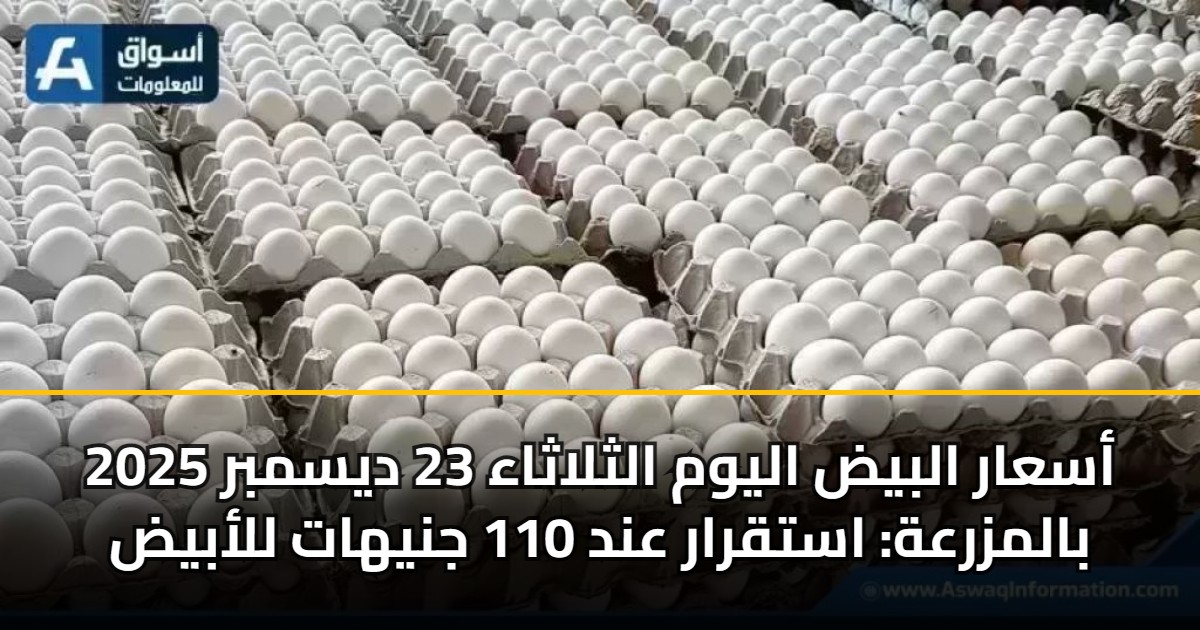 أسعار البيض اليوم الثلاثاء 23 ديسمبر 2025 بالمزرعة: استقرار عند 110 جنيهات للأبيض 5 أسعار البيض اليوم الثلاثاء 23 ديسمبر 2025 بالمزرعة: استقرار عند 110 جنيهات للأبيض