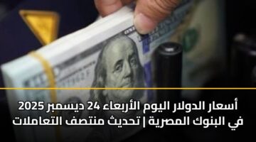 أسعار الدولار اليوم الأربعاء 24 ديسمبر 2025 في البنوك المصرية | تحديث منتصف التعاملات