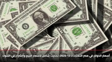 أسعار الدولار في مصر الثلاثاء 2-12-2025: تحديث شامل لأسعار البيع والشراء في البنوك