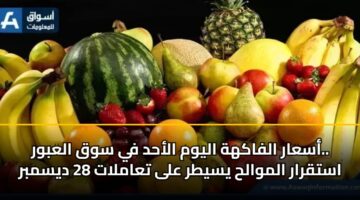 أسعار الفاكهة اليوم الأحد في سوق العبور.. استقرار الموالح يسيطر على تعاملات 28 ديسمبر