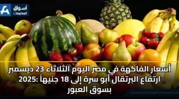 أسعار الفاكهة في مصر اليوم الثلاثاء 23 ديسمبر 2025: ارتفاع البرتقال أبو سرة إلى 18 جنيهاً بسوق العبور