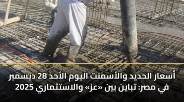 أسعار الحديد والأسمنت اليوم الأحد 28 ديسمبر 2025 في مصر: تباين بين «عز» والاستثماري