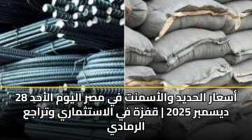 أسعار الحديد والأسمنت في مصر اليوم الأحد 28 ديسمبر 2025 | قفزة في الاستثماري وتراجع الرمادي