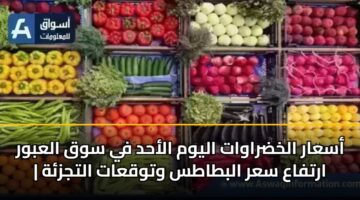 أسعار الخضراوات اليوم الأحد في سوق العبور | ارتفاع سعر البطاطس وتوقعات التجزئة