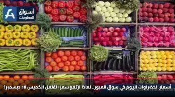 أسعار الخضراوات اليوم في سوق العبور.. لماذا ارتفع سعر الفلفل الخميس 18 ديسمبر؟