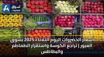 أسعار الخضروات اليوم الثلاثاء 2025 بسوق العبور | تراجع الكوسة واستقرار الطماطم والبطاطس