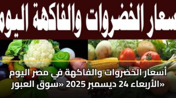 أسعار الخضروات والفاكهة في مصر اليوم الأربعاء 24 ديسمبر 2025 «سوق العبور»