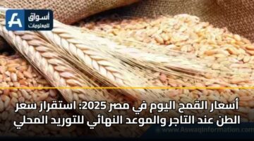 أسعار القمح اليوم في مصر 2025: استقرار سعر الطن عند التاجر والموعد النهائي للتوريد المحلي