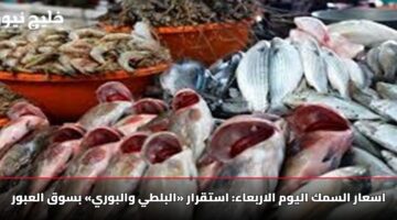 اسعار السمك اليوم الاربعاء: استقرار «البلطي والبوري» بسوق العبور